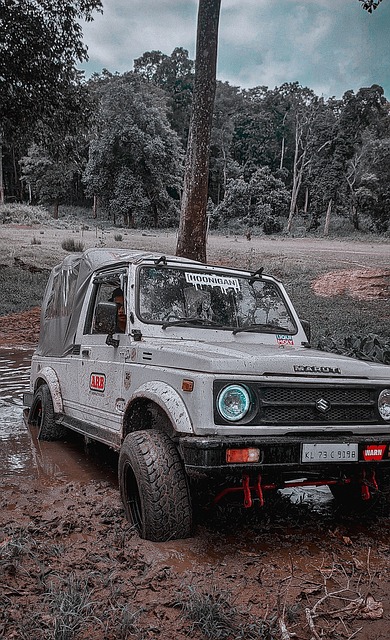 詹姆斯关键篮板抢断助球队逆转