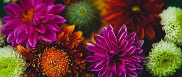 萨林杰真不行了？广东“三王炸”验货成功，朱芳雨被迫更换大外援