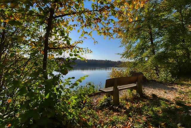 日职乙半场：佐藤凌我建功，磐田喜悦1-0德岛漩涡